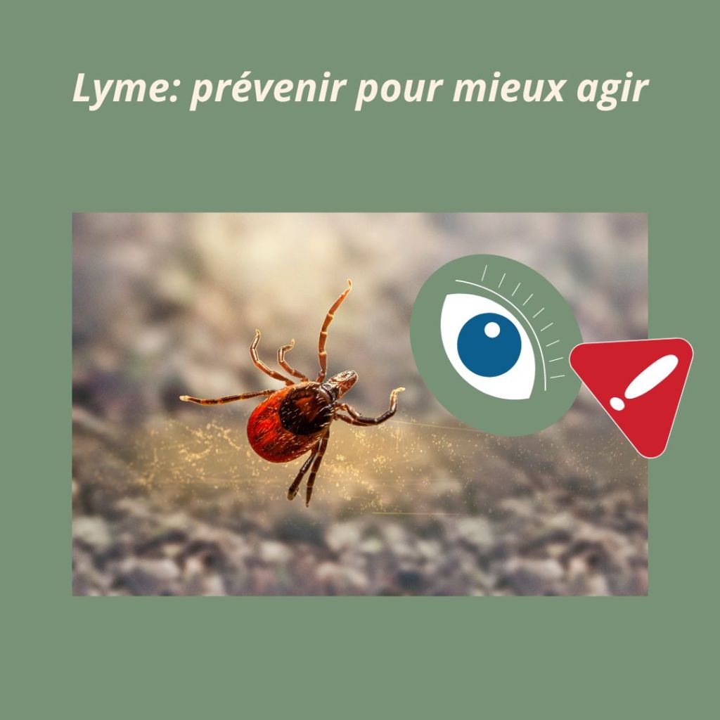 La prévention de la maladie de Lyme