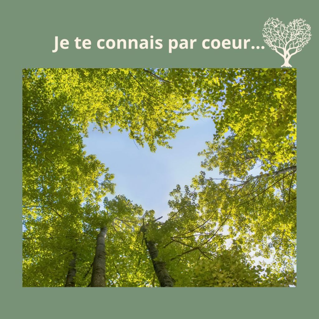 Je te connais par coeur