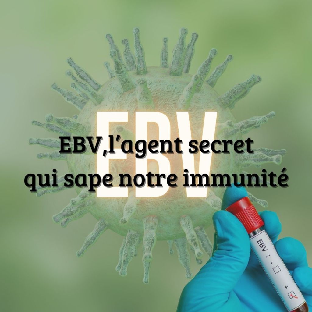 EBV : L&rsquo;agent secret qui sape notre immunité 