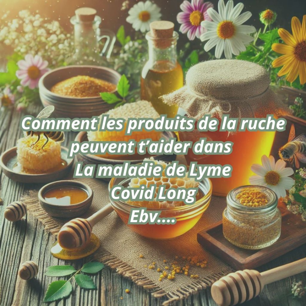 L&rsquo;Intérêt des Produits de la Ruche pour la Maladie de Lyme et le COVID&nbsp;Long