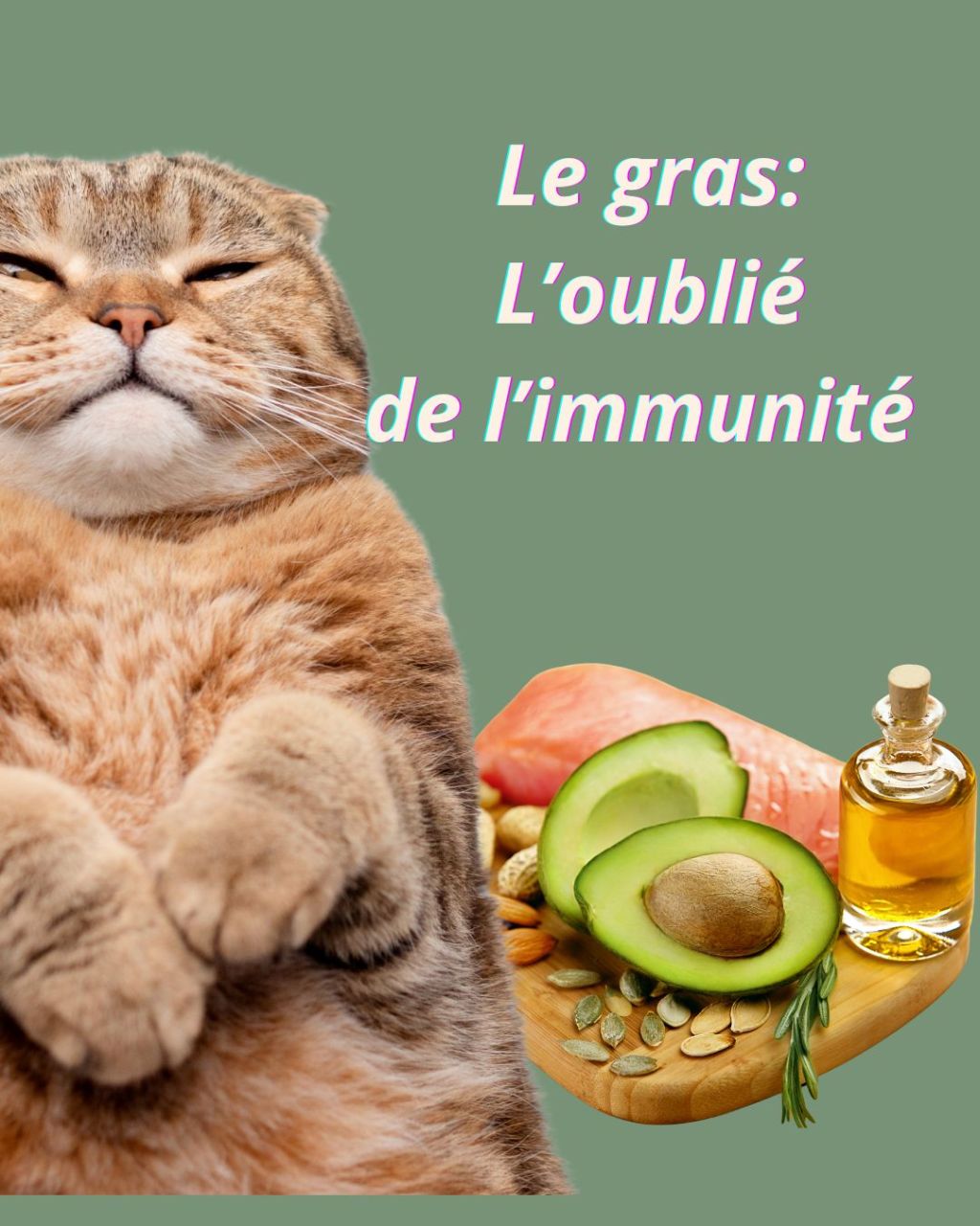 Le Gras : L’oublié de l’immunité 