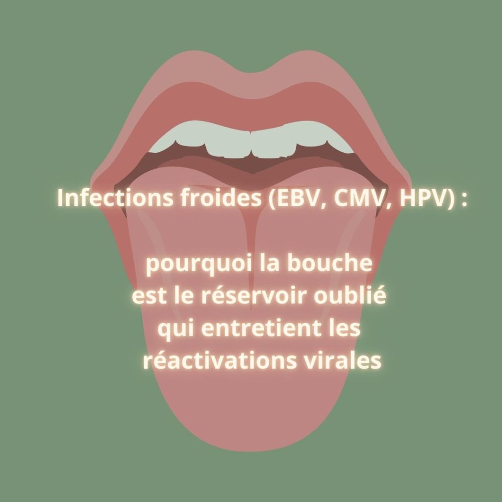  Infections froides (EBV, CMV, HPV) : pourquoi la bouche est le réservoir oublié qui entretient les réactivations&nbsp;virales